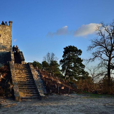 Le Denecourt - A Deux Pas De La Gare Et De La Foret De Fontainebleau アヴォン エクステリア 写真